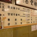 낙동생오리 이미지