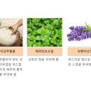 미강세탁 이미지