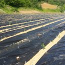 솔골농장 이미지