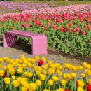 화명생태공원(화명운동장 내) | 부산 화명생태공원 튤립명소 4월 가볼만한곳 실시간 개화 위치 주차