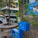 동카름 [제주올레18코스 맛집] 제주올레18코스 신촌리 맛집추천, <b>동카름</b> 낙지볶음 제주 현지인맛집