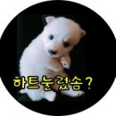 하품스 베이크(hapoom's bake) 이미지