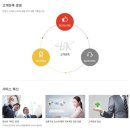 비케이여행사