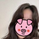 페이브헤어 - 제주시 | 페이브헤어