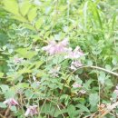 유밀농장 이미지