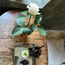 광화문커피