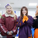 용인실내체육관 이미지