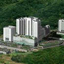 의료법인 대진의료재단 이미지