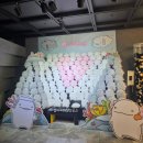던킨도너츠제주한화아쿠아 | 아쿠아플라넷 제주 꾸물꾸물한 날씨에 딱인 시원한 실내 여행지 (ft. 공연 대만족)