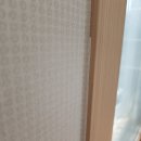스타페인트 이미지