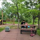 용인아이숲유아숲체험원 이미지