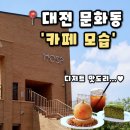 보문산로 | 대전 문화동 카페 추천, 보문산 전망 좋은 베이커리 카페 '모습(MOSP)' 내돈내산 후기