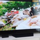 꿀잼 스테이션 이미지