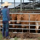 한산한우농장 이미지