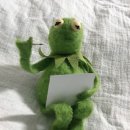 프릿토핏 이미지