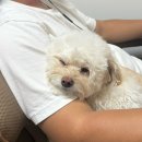 혜미분식 | 2025년 10월의 기록🍁- G2A/캠핑/쇼핑/콘서트/운동/먹방