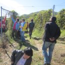 삼포농장 이미지