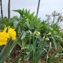 율촌초등학교상봉분교장 이미지