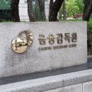 979 매일일보