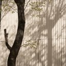 주공아파트 이미지