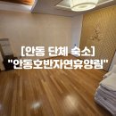 자연의모든것 | 안동 단체 숙소 "안동호반자연휴양림" 검무산 솔직후기