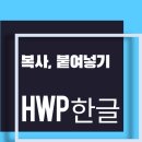 컴퓨터 초보탈출(한글, 파워포인트) | [한컴오피스 HWP] 한글 복사, 붙여넣기 제대로 활용하기 단축키 활용