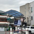 시율 | 청주 네일 추천 금천동 네일시율, 꼼꼼한 이달의 아트 자석젤 후기