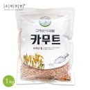 초원이네 이미지