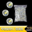 세영