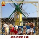 백암면사무소사거리 | 용인시 애견카페 컨츄리독힐링파크 운영시간 및 방문 정보와 가격까지 한번에 알아봐요
