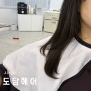 진주 1인샵 미용실 도담헤어 애쉬브라운 염색 후기