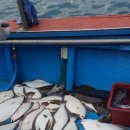 금강낚시 이미지