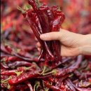 혜주농장 이미지