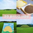 황리단길 간식 대릉원을 닮은 경주대릉빵