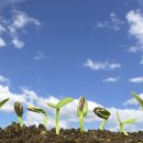 하늘꽃한의원 이미지