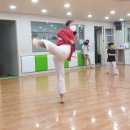 VIP 태권도장 이미지