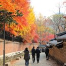 서울 가볼만한곳덕수궁의 가을 단풍 이미지