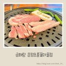금퇘랑 | 동패동 맛집｜금퇘랑 운정초롱꽃마을점 내돈내산 후기