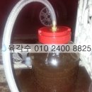 엔에스이엔지 이미지