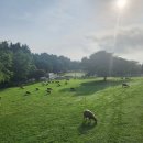 선택목장 이미지