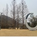 구갈레스피아_M 이미지