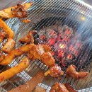 빨간꼼장어 이미지