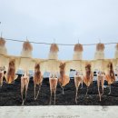 남원읍-91 이미지