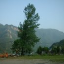 다복민박 이미지