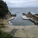 대진길 | 가을비가 운치 더하는 삼척 대진항, 낭만 가득한 산책 후기