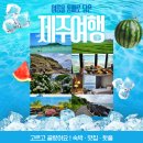 오설록티팩토리직원식당 | 8월 제주도 여행 제주 여름여행지 추천 오설록티뮤지엄 외 TOP8