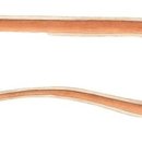 오리와 장어 이미지