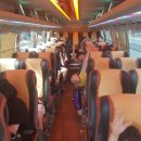 용인대 라이온 태권도장 이미지