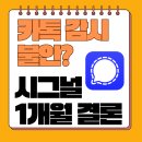 승자PC | 카톡 대신 시그널 앱 1개월 사용 후기 (장점, 단점, 텔레그램 비교 총정리)