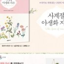야생화자수 이미지